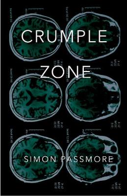 Book cover for Crumple Zone