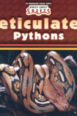 Cover of Reticulated Pythons