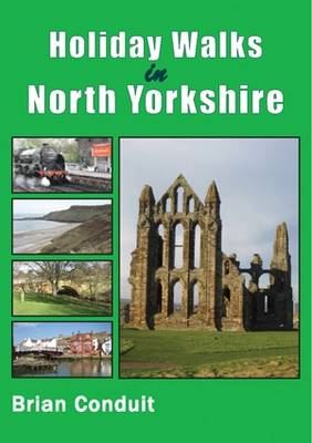 Book cover for Holiday Walks in North Yorkshire