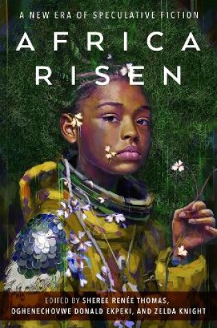Cover of Africa Risen