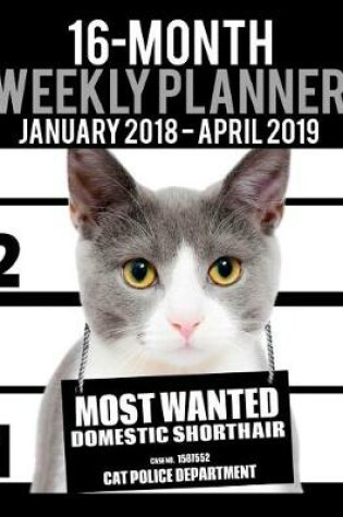 Cover of 2018-2019 Weekly Planner - Most Wanted Domestic Shorthair