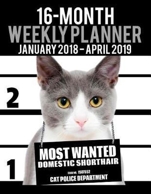 Book cover for 2018-2019 Weekly Planner - Most Wanted Domestic Shorthair