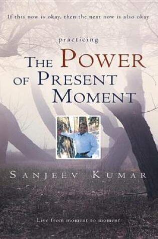 Cover of The Power of Present Moment