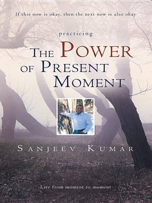 Book cover for The Power of Present Moment