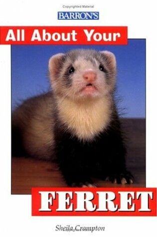 All about Your Ferret