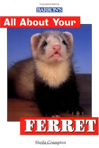 Book cover for All about Your Ferret