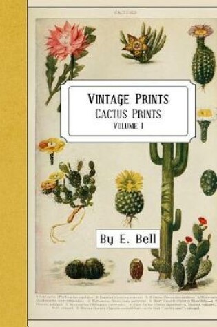 Cover of Vintage Prints