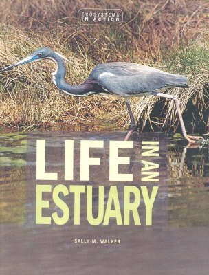 Book cover for Life In An Estuary