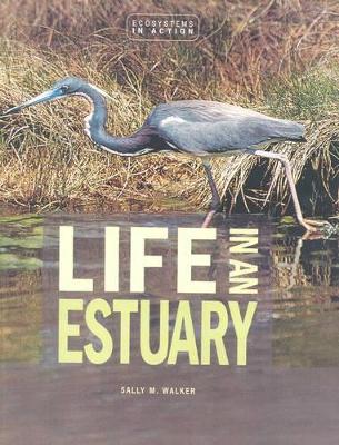 Book cover for Life In An Estuary