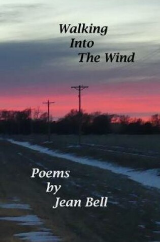 Cover of Walking into the Wind