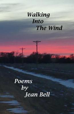 Book cover for Walking into the Wind