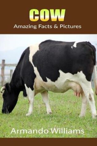 Cover of Cow