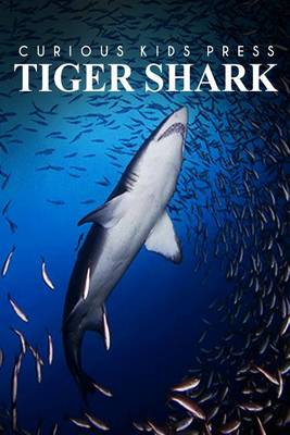 Book cover for Tiger Shark - Curious Kids Press