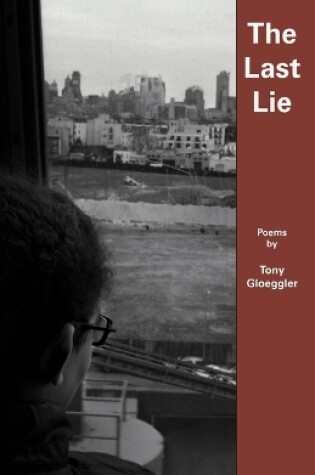 Cover of The Last Lie