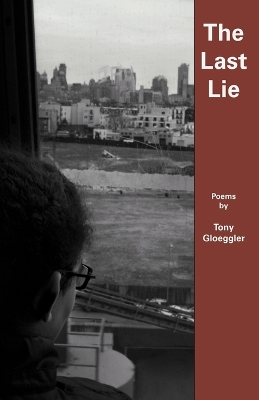 Book cover for The Last Lie