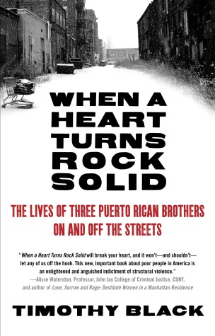Book cover for When a Heart Turns Rock Solid