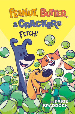 Cover of Fetch!