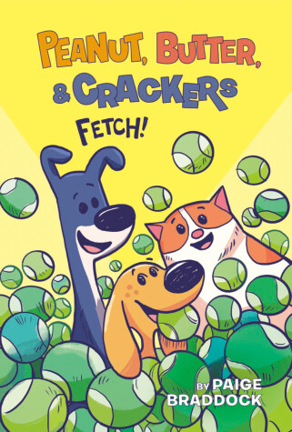 Cover of Fetch!