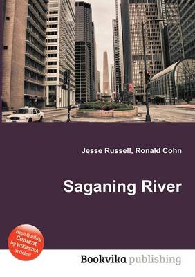 Book cover for Saganing River