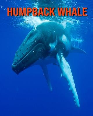 Book cover for Humpback Whale