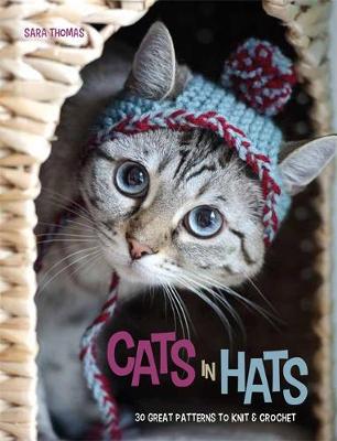 Book cover for Cats in Hats