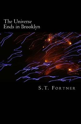 Book cover for The Universe Ends in Brooklyn