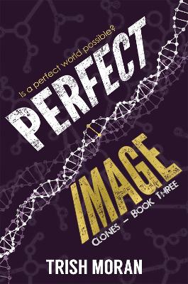 Book cover for Perfect Image