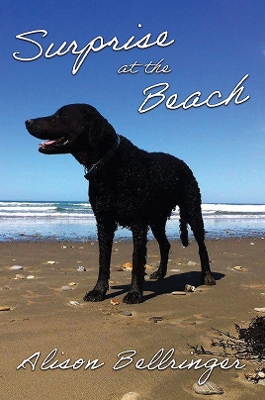 Book cover for Surprise at the Beach