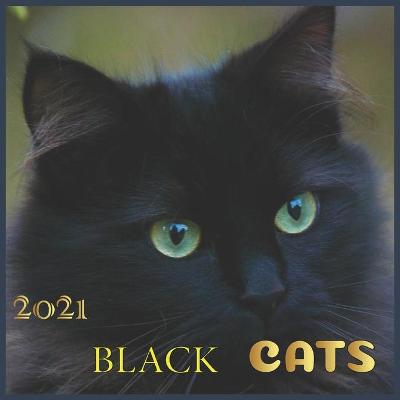 Book cover for Black cats