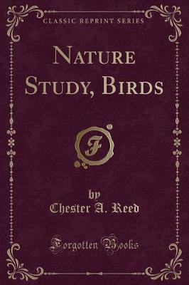 Book cover for Nature Study, Birds (Classic Reprint)