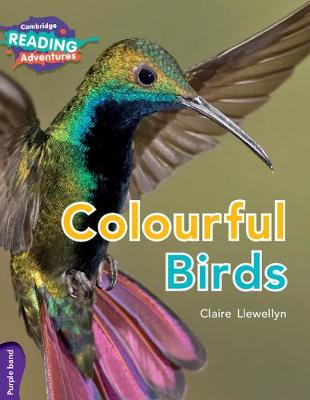 Cover of Cambridge Reading Adventures Colourful Birds Purple Band