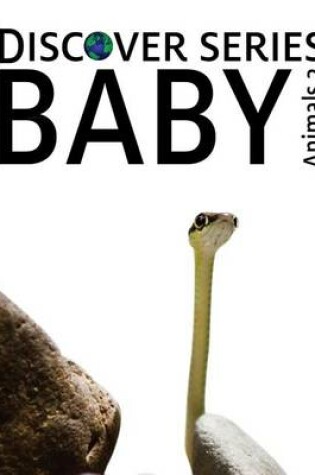 Cover of Baby Animals 3