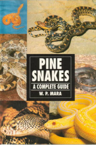 Cover of Pine Snakes