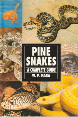 Book cover for Pine Snakes