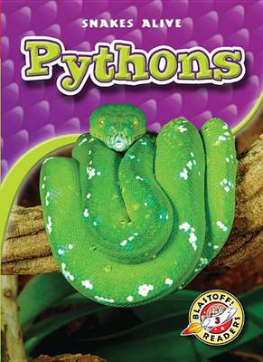 Cover of Pythons