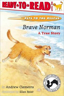 Book cover for Brave Norman
