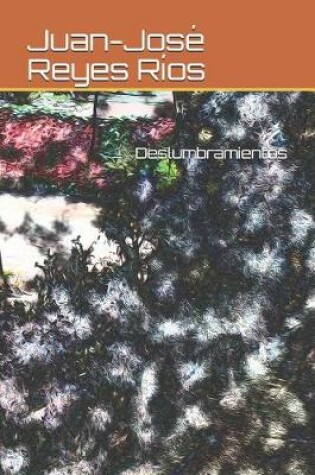 Cover of Deslumbramientos