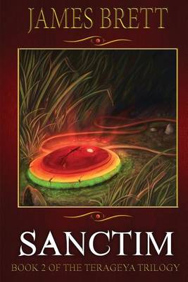 Book cover for Sanctim