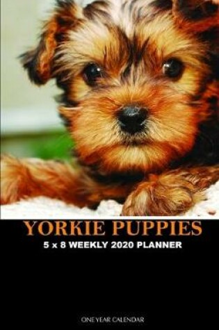 Cover of Yorkie Puppies 5 x 8 Weekly 2020 Planner