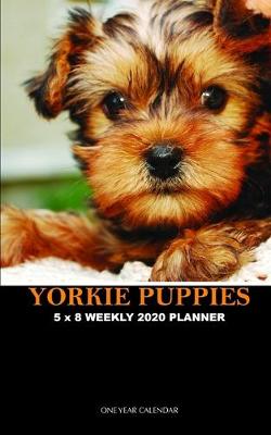 Book cover for Yorkie Puppies 5 x 8 Weekly 2020 Planner