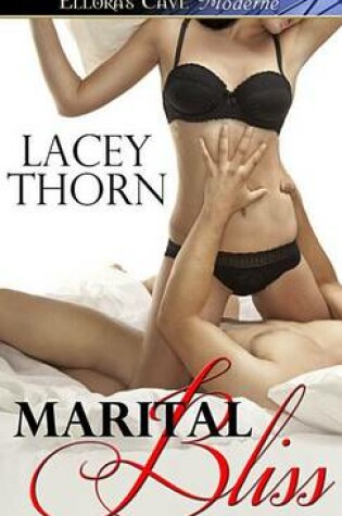 Cover of Marital Bliss