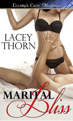 Book cover for Marital Bliss