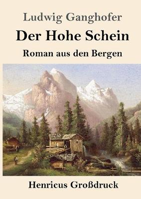 Book cover for Der Hohe Schein (Großdruck)