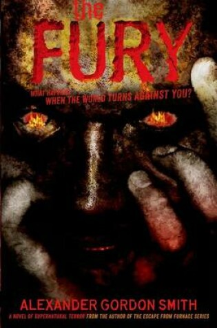 Cover of The Fury