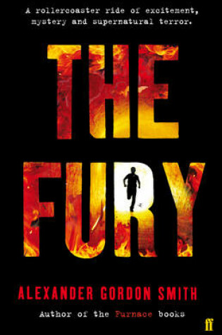 Cover of The Fury