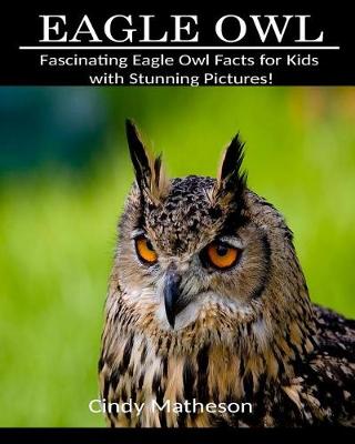 Book cover for Eagle Owl