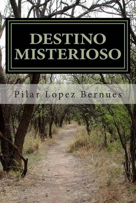 Cover of DESTINO MISTERIOSO (Maquinaciones de Mr. Burch 1)