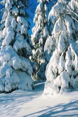 Cover of Journal Snow Covered Evergreens