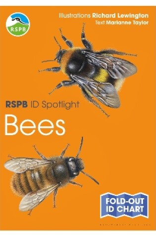 Cover of RSPB ID Spotlight - Bees