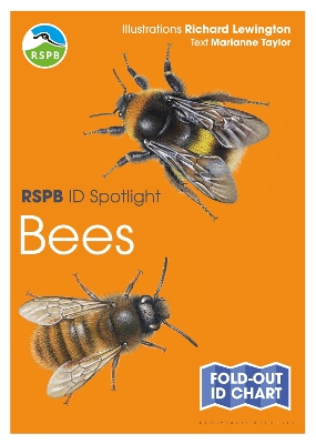 Book cover for RSPB ID Spotlight - Bees